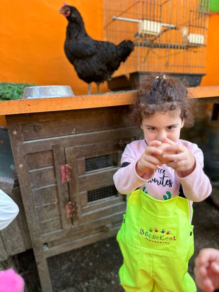 DOĞA TEMELLİ ANAOKULU